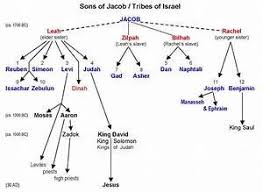 Noah To 12 Patriarchs Genealogy Chart Noah Abrahams