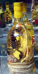 Image result for snake wine
