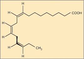 Image result for Fatty Acid
