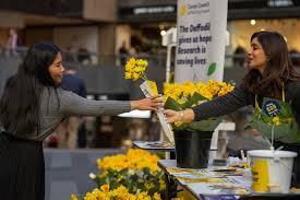 Launching cancer council victoria's 1st year of seven parks walk in melbourne, to be held on sunday 5th october 2014. Get Involved Cancer Council