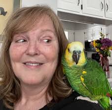 Parrot knocks over bookshelf in home incident
