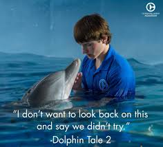 When i was a child i had a fishless aquarium. Clearwater Aquarium On Twitter A Great Quote From Sawyer In Dolphin Tale 2 Get Your Dolphin Tale Fix Http T Co Jwsrmbbrnr Http T Co Wd8hhcpjlt