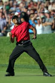  The Awe Inspiring Rundown Of Tiger Woods Career Wins Tiger Woods Golf Tiger Woods Famous Golfers