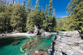 Lake mcdonald is the largest and most popular lake at glacier national park. Lake Mcdonald Falls In Glacier National Park Photograph By Brandon Alms