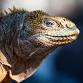 Discovering the Galapagos | Mar. 15, 2026