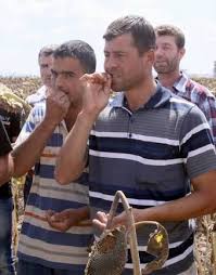 2026'da vergi ve harç zamları için yeni oran belli oldu: IMEI, pasaport, ehliyet