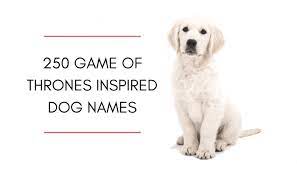 250 Game Of Thrones Inspired Dog Names Puppy Leaks