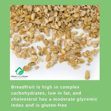 Image result for Treculia