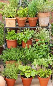 Herbs A Quick Guide To Garden Pots Planters And Containers Love This Herb Garden In Terracotta Pots Herb Garden Pots Small Herb Gardens Patio Herb Garden