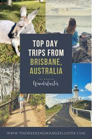 Best Day Trips From Brisbane In 2020 Day Trips Trip Oceania Travel