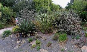 This grass bed in a rock garden is not only a conversation piece, but also a great place for a nap. Xeriscape Design Ideas Gardening Know How