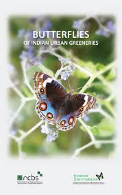 Image result for Rhynchosia tricuspidata