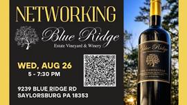Networking at Blue Ridge Estate Vineyard & Winery