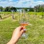 Longrid Estates Vineyards from bayofquinte.ca