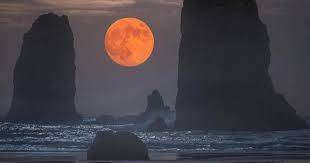 Even when you least expect it, the moon never fails to dazzle. Instagram Captions For All Your Full Moon Posts