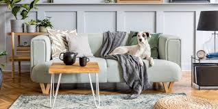 And the great part is all you need is a little bleach. How To Clean A Fabric Couch With Or Without Steam