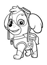 Coloriage De Stella A Colorier La Pat Patrouille