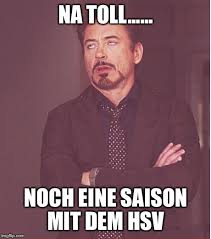 Save and share your meme collection! Hsv Fussball Memes Offtopic Rautenperle Forum
