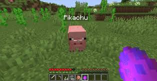 A minimalistic configurable mod that allows shulkers to drop two or more shells and ignore their default drop chance. More Machinery Features Customization Minecraft Curseforge