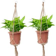 Here is an idea for diy indoor wall planters that will create a stylish vertical plant holder that looks like modern art. Offidix Retro Diy Hemp Rope Hanging Flower Pot Hanging Planters Baskets Plant Containers Garden Home Accessories 4 Legs Plant Pot Holder For Ceiling Outdoor Garden Wall Hanging Plant Holders 2pcs Buy Online
