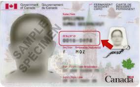 You will need an sin to work in canada, to complete an income tax return, and to benefit from government programs. Where Is My Status In Canada Document Number