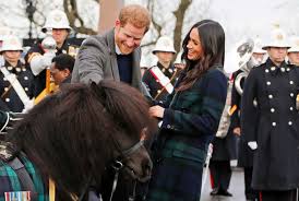 Image result for Meghan Markle and Prince Harry Valentine's Day: