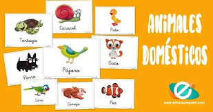 Rompecabezas animales preescolar e infantil (4) : Animales Domesticos Bits De Inteligencia Para Aprender Vocabulario