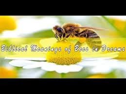 Biblical Meaning Of Bees In Dreams Interpretation Dream Interpretation Dream Meanings Interpretation