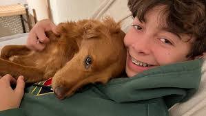 David Hose's Instagram, Twitter & Facebook