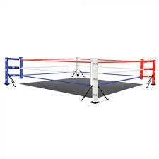 Floor Level Boxing Ring In 2021 Boxing Rings Box Boxing Flooring