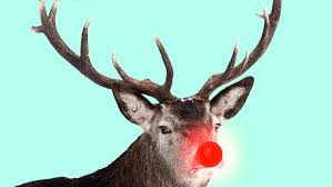 How A Shy Jewish Boy Gave America Rudolf For Christmas Edinburgh university professors gerald lincoln and david baird told the telegraph there's no way that rudolph can be a fella because male reindeer shed. shy jewish boy gave america rudolf