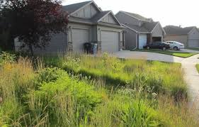 Description:native sun lawn service llc. Native Landscape Design Blog Natural Community Services Rain Garden Design