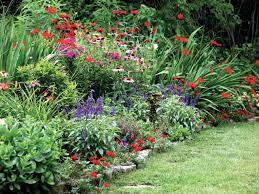 An easy way to test planting depth is to lay a stick or tool across the planting hole from surrounding soil to the perennial root ball. Maintaining A Perennial Garden Hgtv