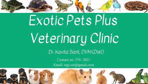 Free, available 7 days a week, 7 a.m. Exotic Pets Plus Veterinary Clinic Community Facebook