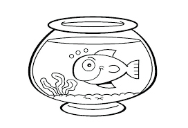 You will need a pdf reader to view these files. Goldfish Bowl Drawing Novocom Top