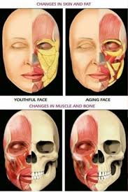 Pin On Face Fat Loss
