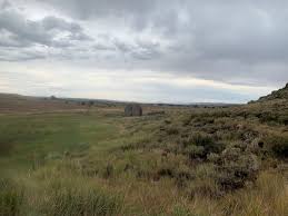 Image result for Little Catnip Spring - Sheldon Refuge Winnemucca NV