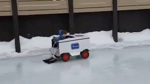 Ice rink engineering and manufacturing, llc don't let size fool you. Two Young Hockey Fans Help Clean The Ice And It S The Most Adorable Thing You Ll See All Week Article Bardown