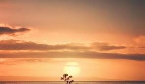 Mudah bukan untuk mengetahui kapan matahari terbit dan tenggelamgambar matahari tenggelam yang indah dan menakjubkan. Terkeren 14 Gambar Langit Senja Aesthetic Matahari Terbenam Langit Senja Alam Lanskap 48882 Gambar Gambar Gratis Dari Sunset Untuk Pemandangan Langit Gambar