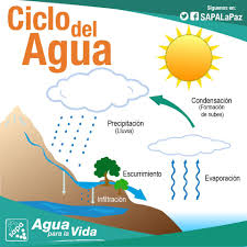 El sol sigue calentando todo el agua del planeta poco a poco y ésta se va evaporando formando vapor de agua, haciendo. Sapa La Paz Recuerdas El Ciclo Del Agua Sabiasque Facebook
