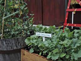36 Amazing Ideas For Growing A Vegetable Garden In Your Backyard Vegetable Garden Home Vegetable Garden Vegetable Garden Design