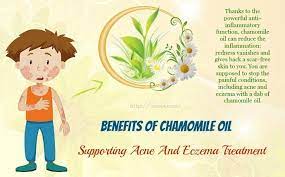 In fact, this oil is well known for its ability to soothe and nourish both hair and scalp. 14 Benefits Of Chamomile Oil For Skin Hair And Health