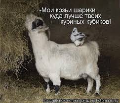 images?q=tbn:ANd9GcT6oat_mSjEPuVjhAcAz5cS_-_BEeVmkFdAfw&usqp=CAU