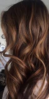 If you have a chestnut hair color whether natural or from a package, a chestnut hair color with highlights can make a difference and your hair even look more beautiful. J A Z Z Y Chestnut Hair Color Chestnut Hair Brunette Hair Color