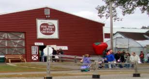 Where you will find the best prime rib and old fashions in wisconsin! Pine Tree Apple Orchard Minnesota Home Outdoor Decor Pine Tree