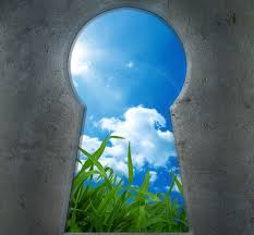 Community seed banks will help to preserve seed of the most adapted varieties for the region, either local varieties or new ones coming from breeding this module helps jffls participants to increase their knowledge on the importance of saving seeds, in particular traditional varieties, as well as how. Syria S Seeds Are Locked Away In Norway But Are Seed Vaults Safe Green Prophet