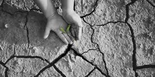 We did not find results for: Kelangkaan Sumber Daya Dan Cara Mengatasinya Halaman All Kompas Com