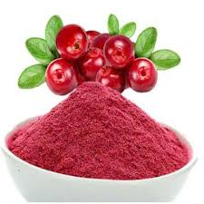 China Cranberry Extract Manufacturer and Factory | Puyer