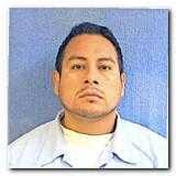 Illinois Sex Offender Search