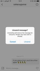 You can follow me on my personal inst. This Is How To Unsend Instagram Dms
